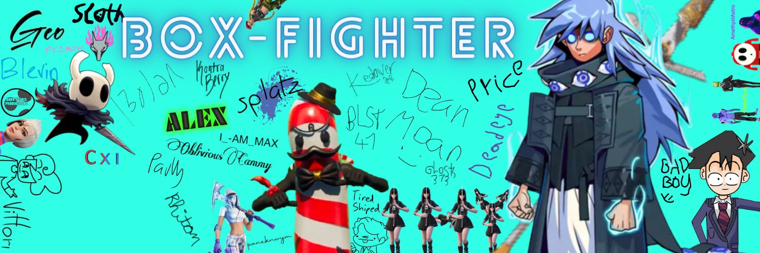 Box-Fighter banner