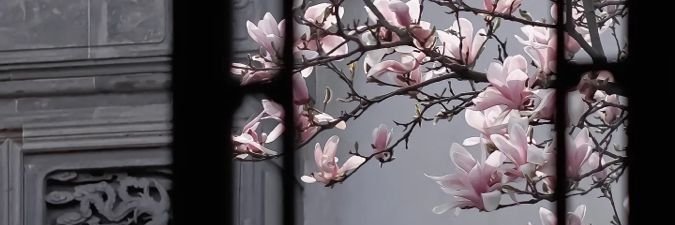 クッキー | koo ♡ banner