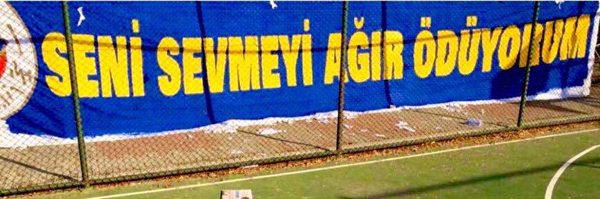 Di〽️asTeixeira banner