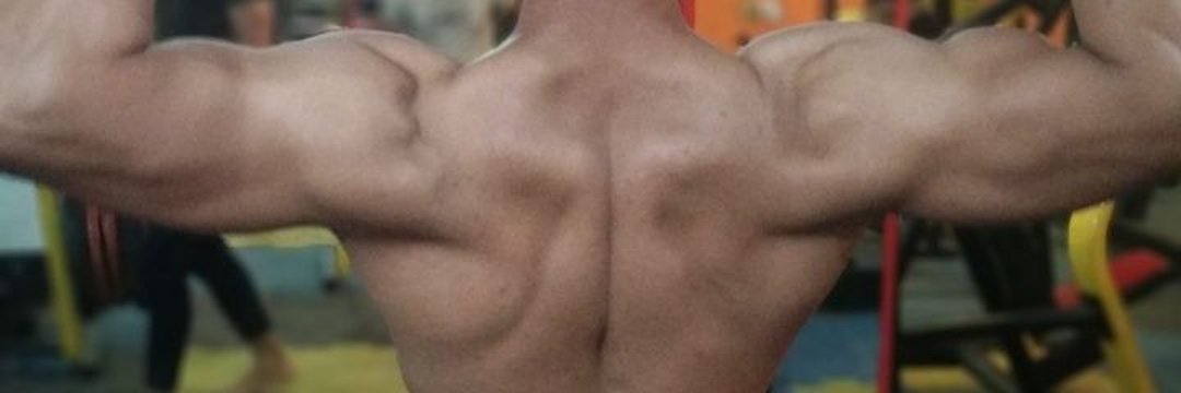 Lamist ( he/tler ) banner