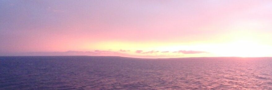 Dani Eichenberg banner