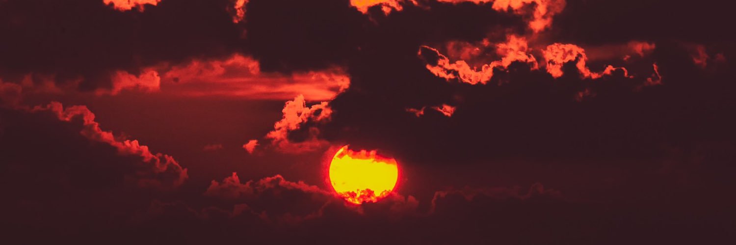 🐋林水银🫧 banner