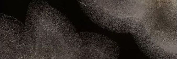 naa banner