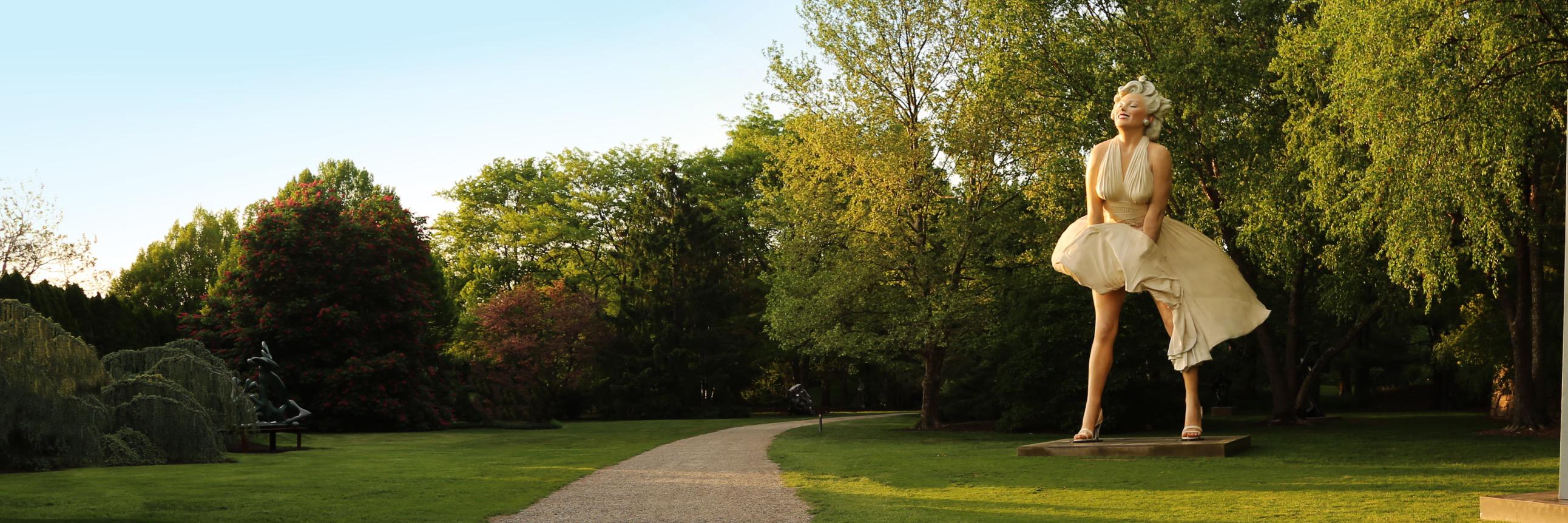 SewardJohnson's profile banner image