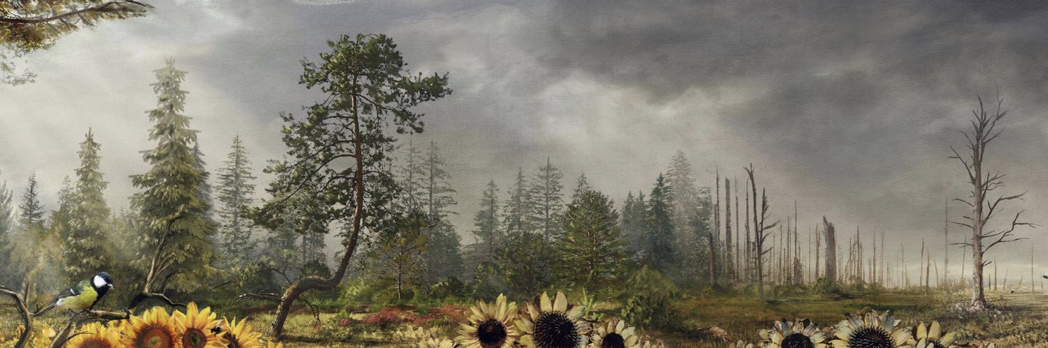 sethbaked's profile banner image