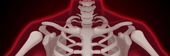 Bone Addicted banner
