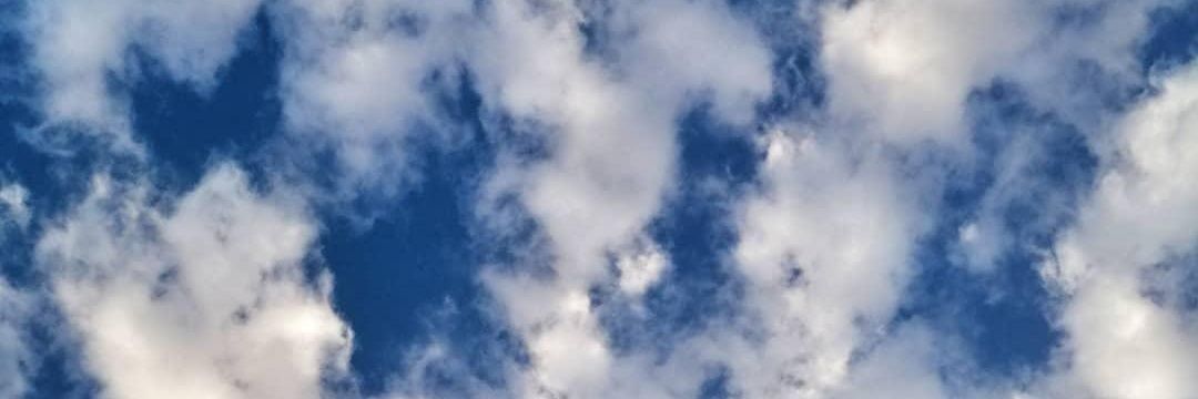 paredeskt's profile banner image