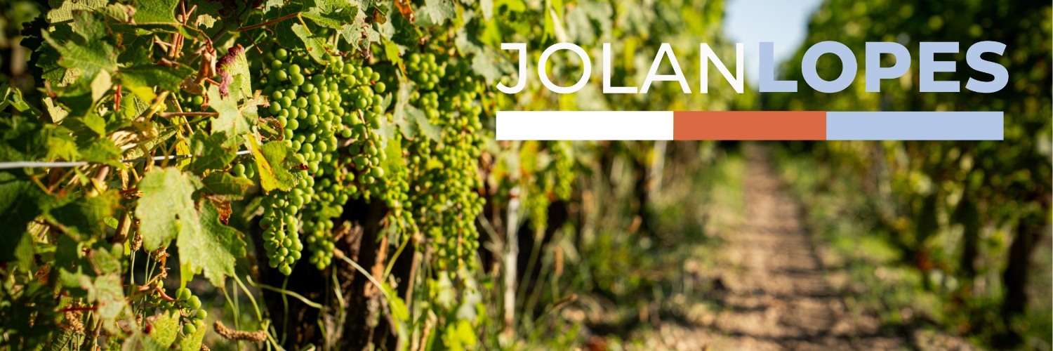 Jolan Lopes banner