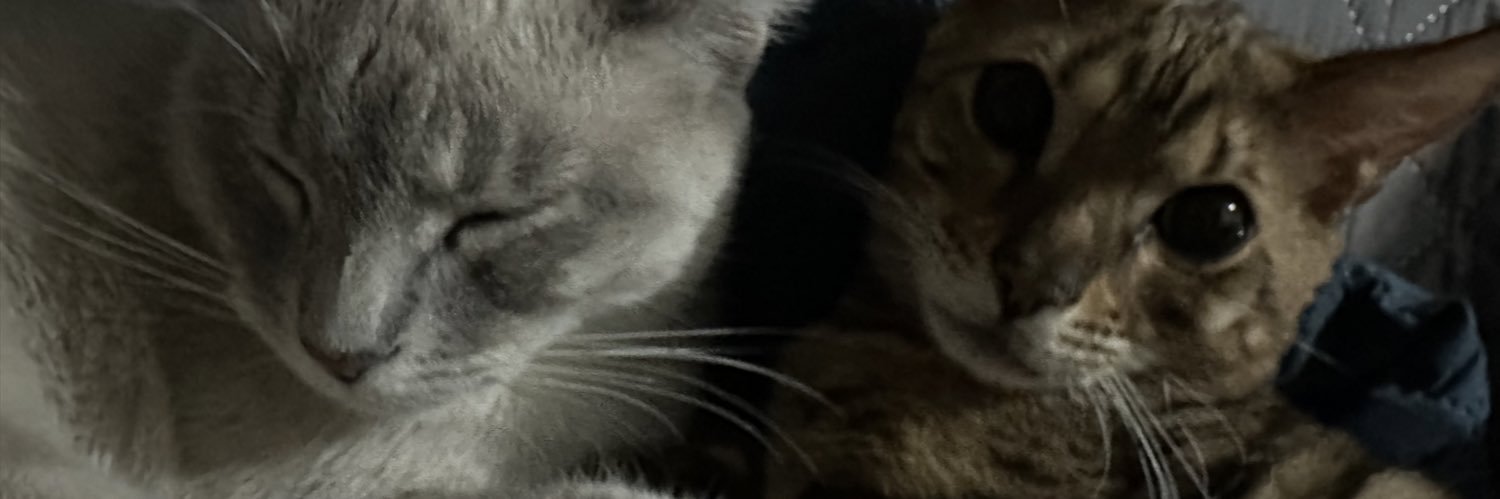 adrixnwtf's profile banner image