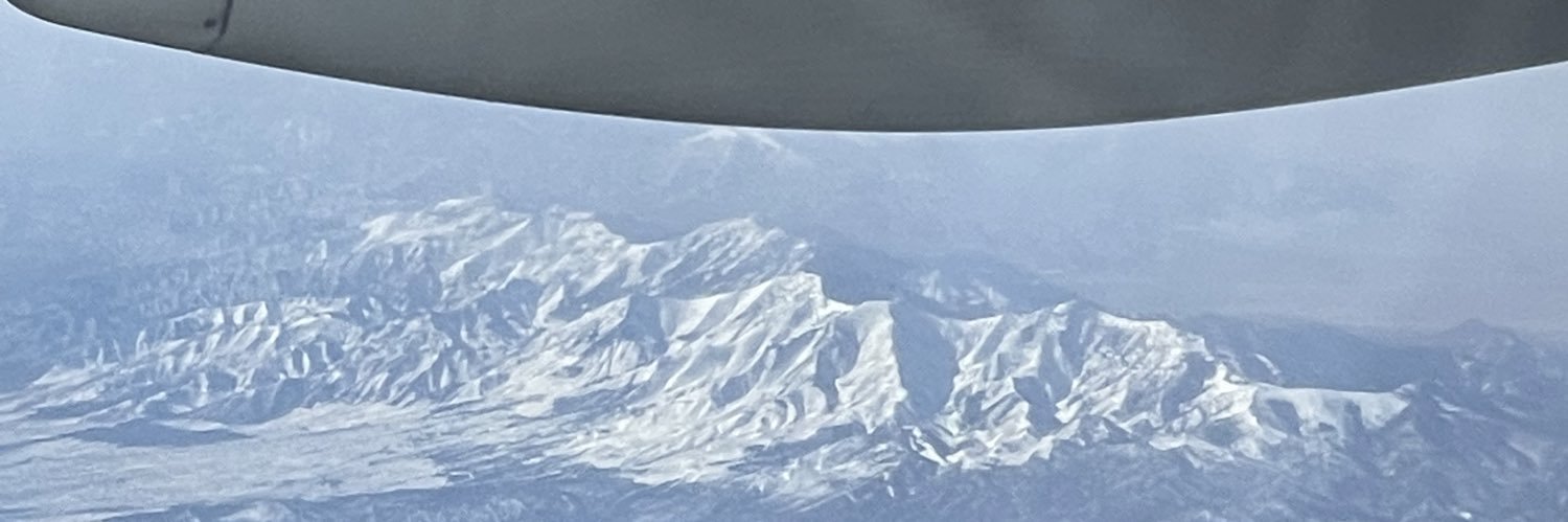 Vikings's banner
