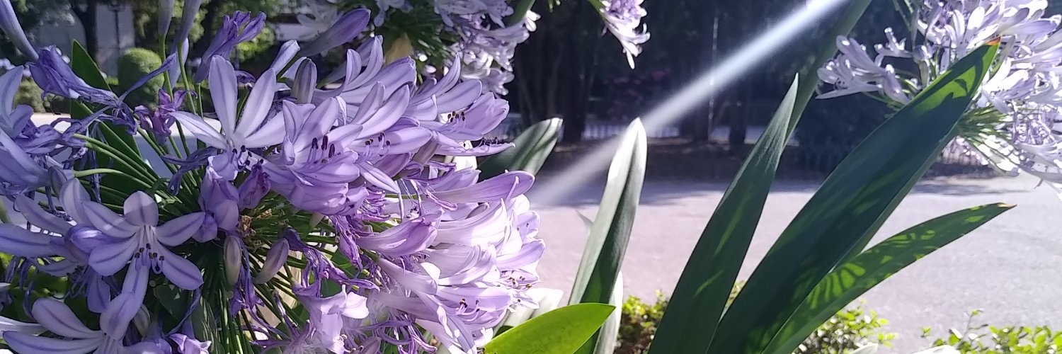 cbalche's profile banner image