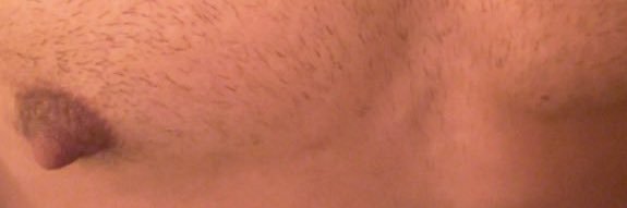 🐷 banner