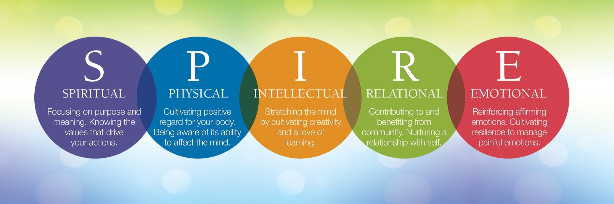 WBInstitute's profile banner image