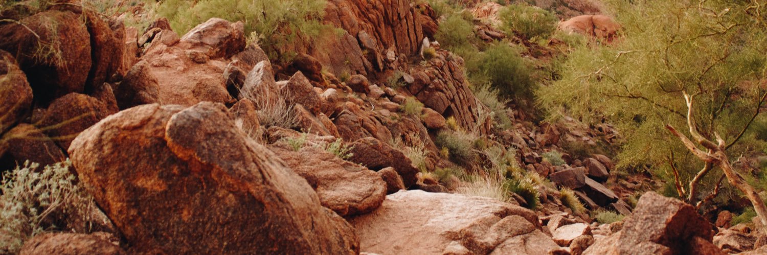 Labadiie's profile banner image