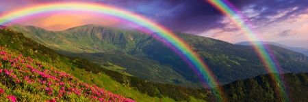 rangincaman's profile banner image