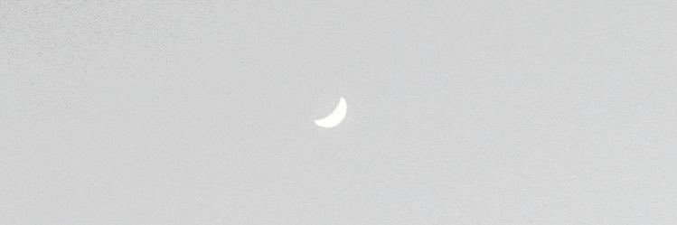 alex banner
