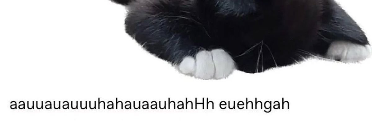 ierotaku's profile banner image