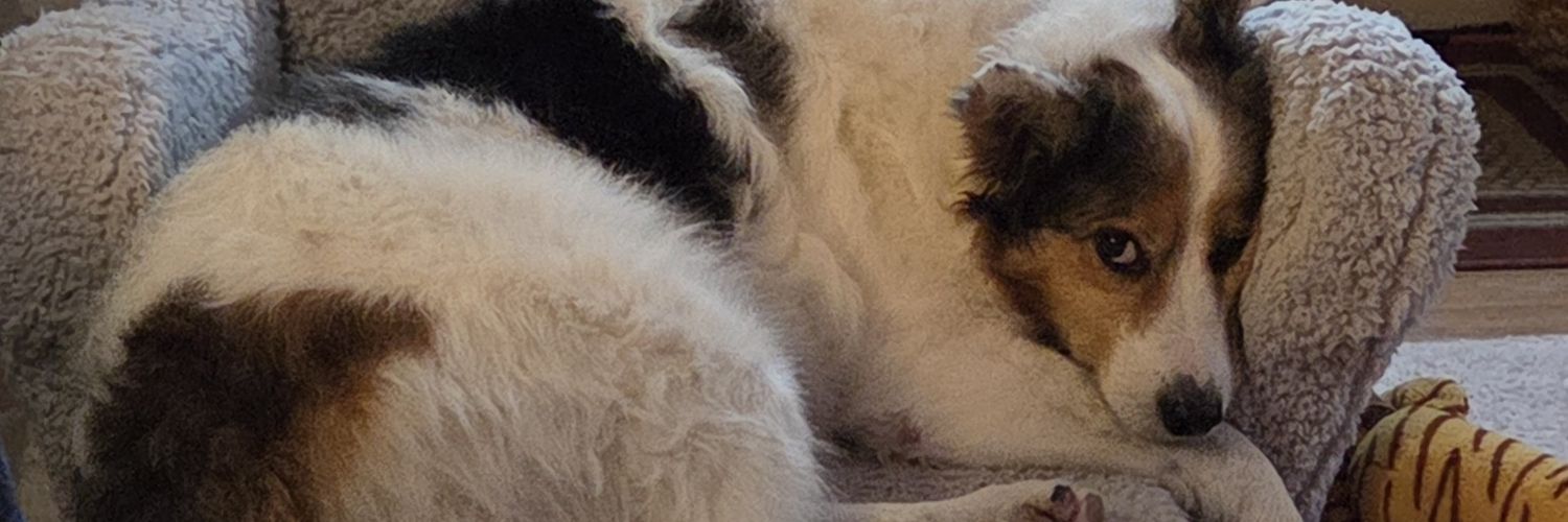 EHMcA's profile banner image