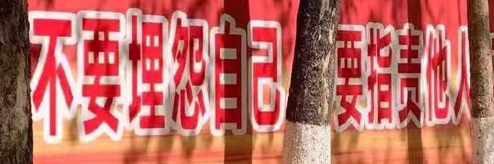 多伦多出原味 banner