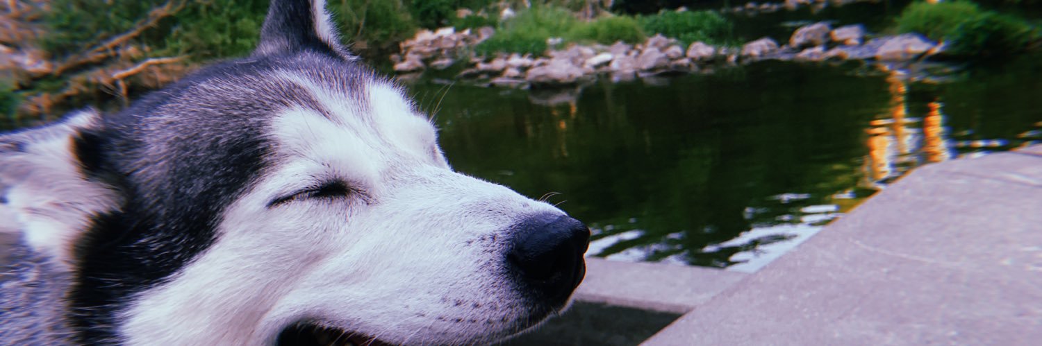 ellenminer_'s profile banner image