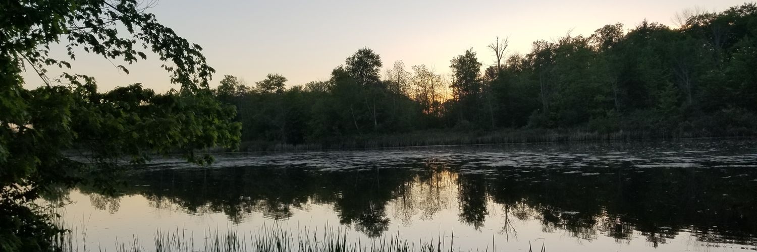Jime351's profile banner image