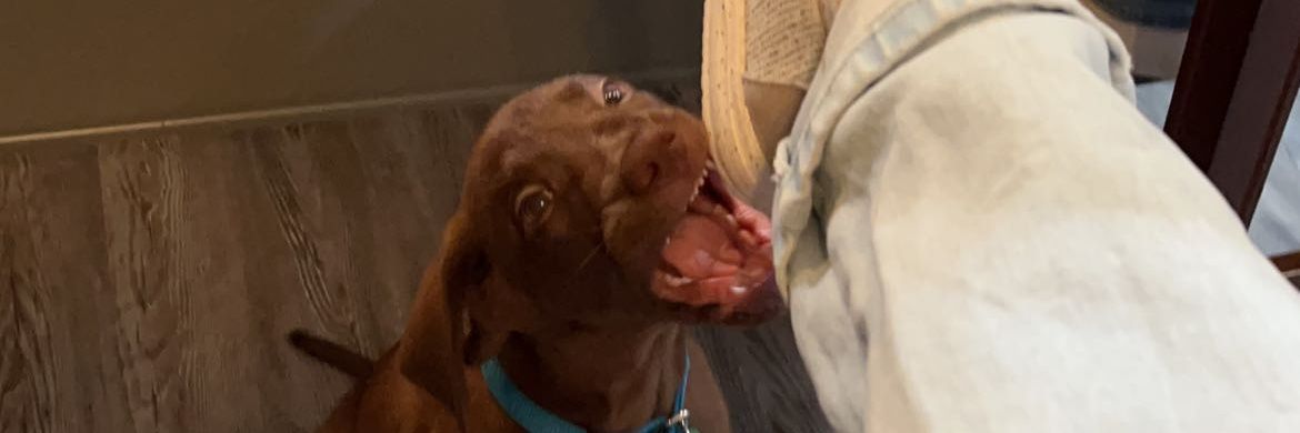 Yung_ryce's profile banner image