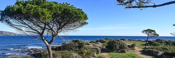 capucine__music Profile Banner