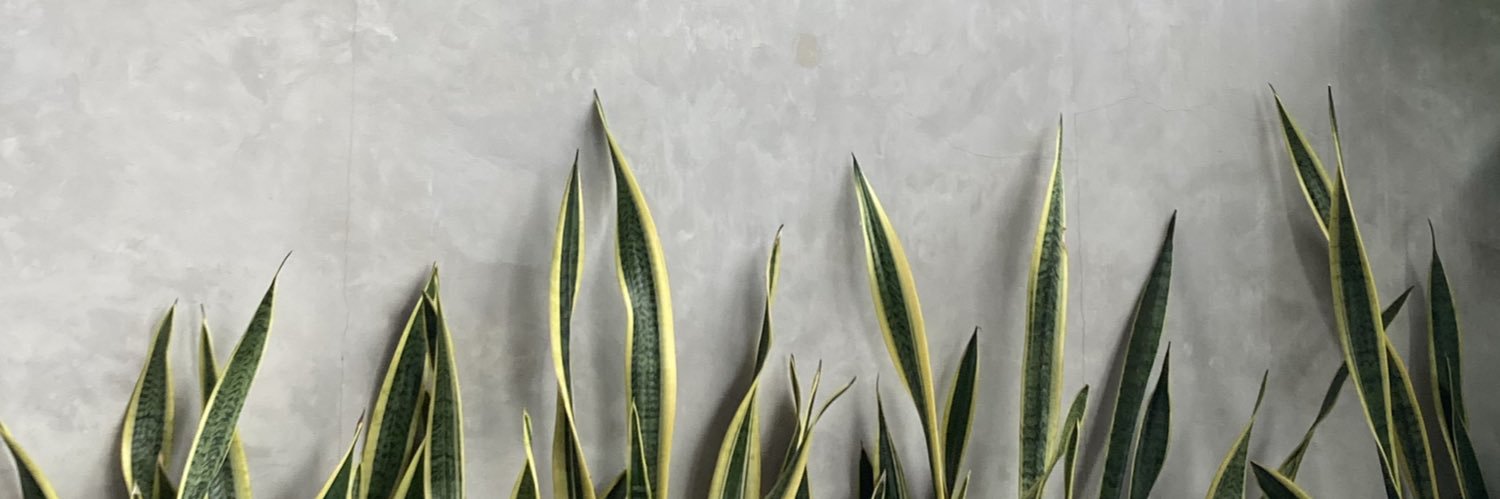 jije banner
