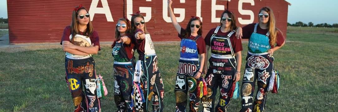 Dani 🦁🐆 banner