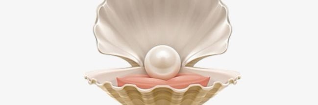 دانـــه banner