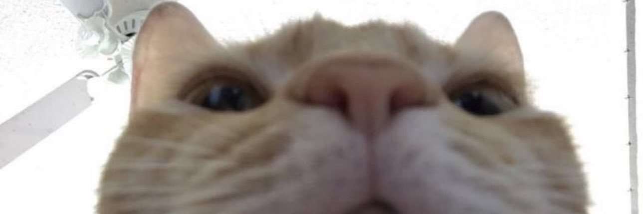 odemirkol12's profile banner image