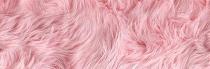 p 🌼 a 💓 m 🍬 lisa banner