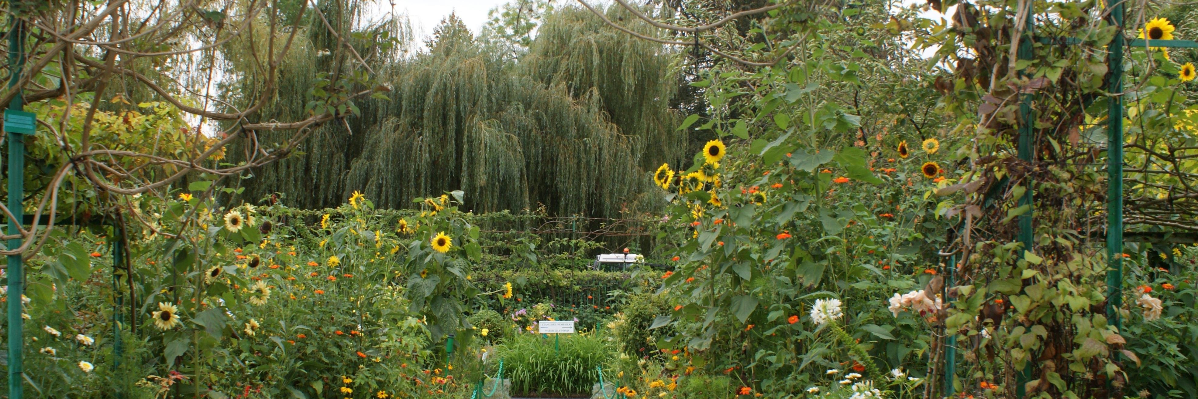 PicklesBottom 👑 #BelieveInTzuKingdom #BeKind 👑 banner