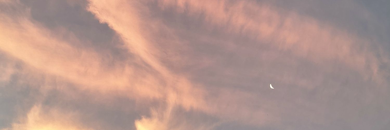 LuciaAromando's profile banner image