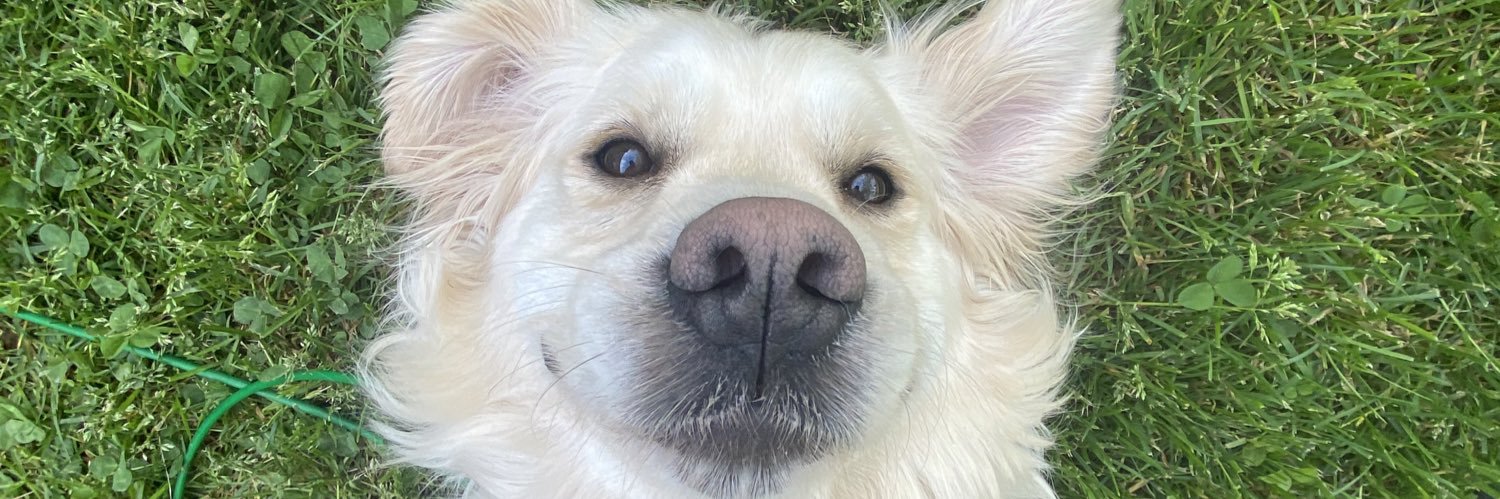 simply_ocho's profile banner image