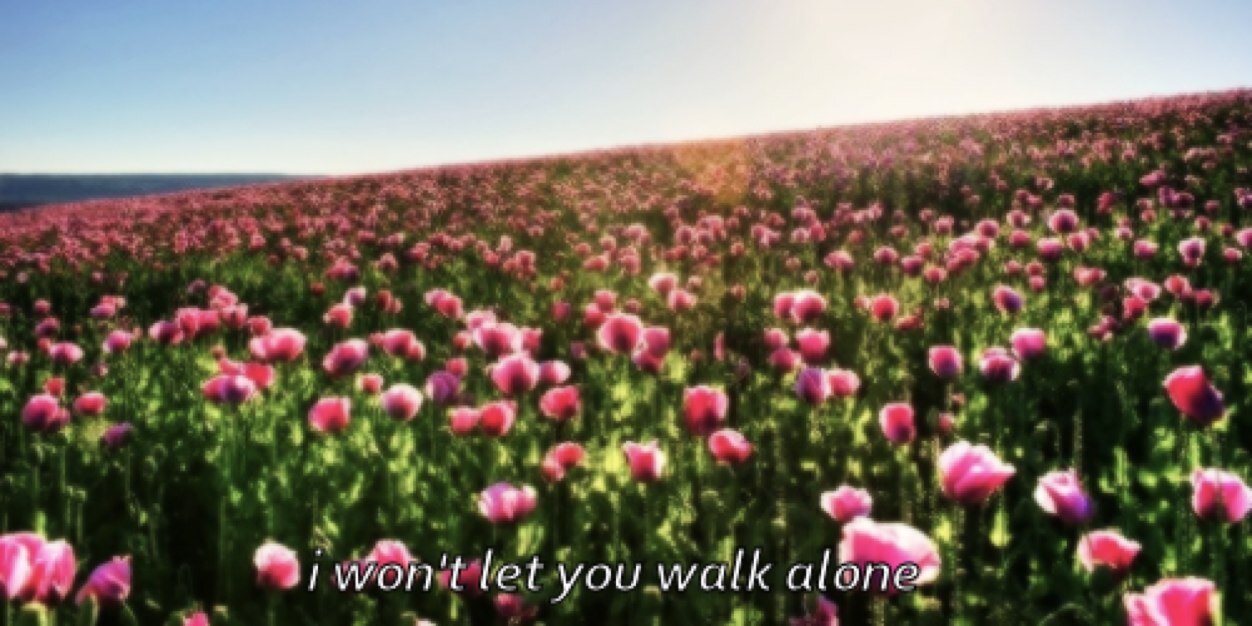 bigcodydontcry's profile banner image