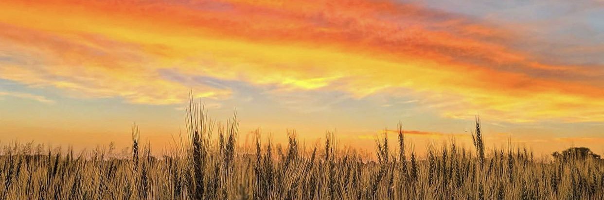 Karley_Chambers's profile banner image