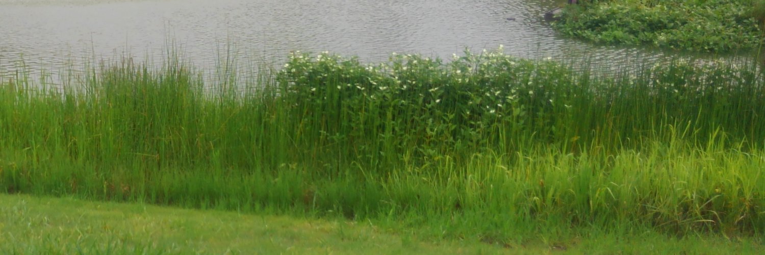 FetishNature's profile banner image
