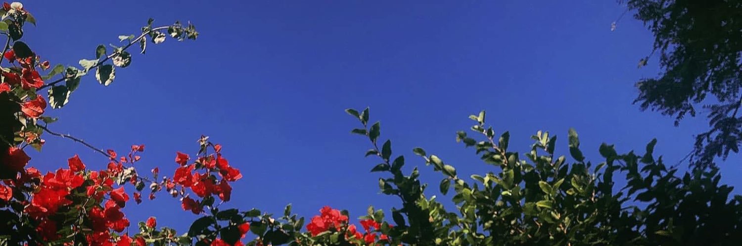 asrbbrito's profile banner image