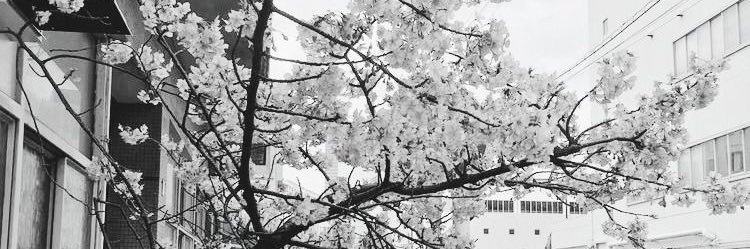 amaaterry's profile banner image