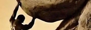 ashraf_hesham1's profile banner image