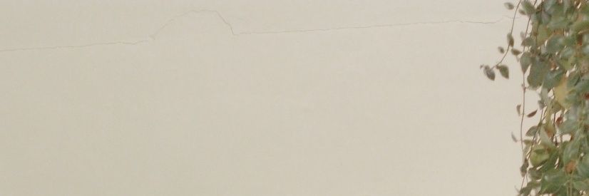 𝓶𝓸𝓷𝓸𝓸𝓷_𝓹𝓲𝓬 banner
