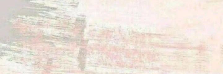 leleejiji's profile banner image