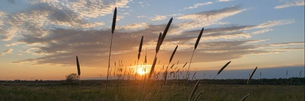 7yalcinn's profile banner image