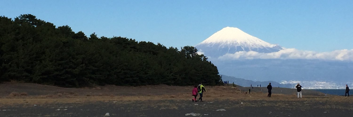 ほ～スケ banner