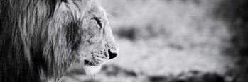 justusreed4's profile banner image