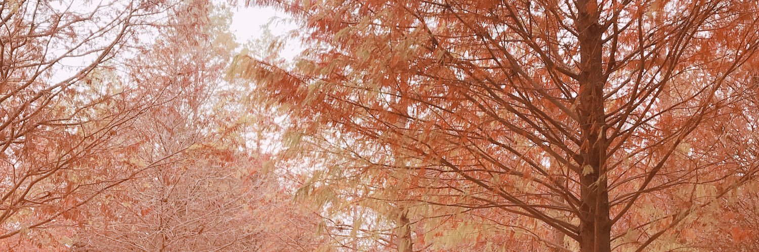 thorne1019's profile banner image