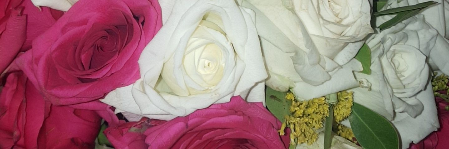 Manno_Homy's profile banner image