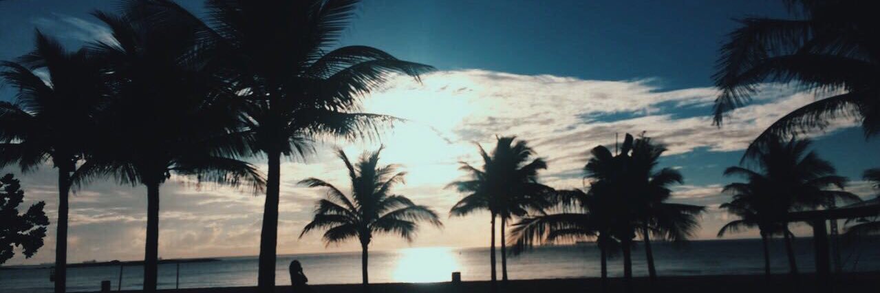 _ThalesCoimbra's profile banner image