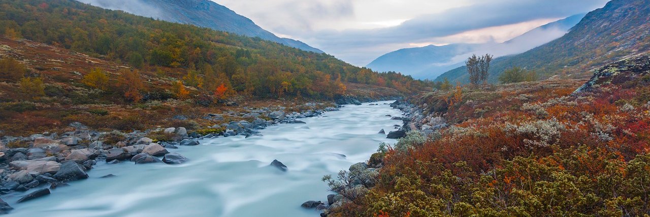 Øyvind T. Aasheim banner